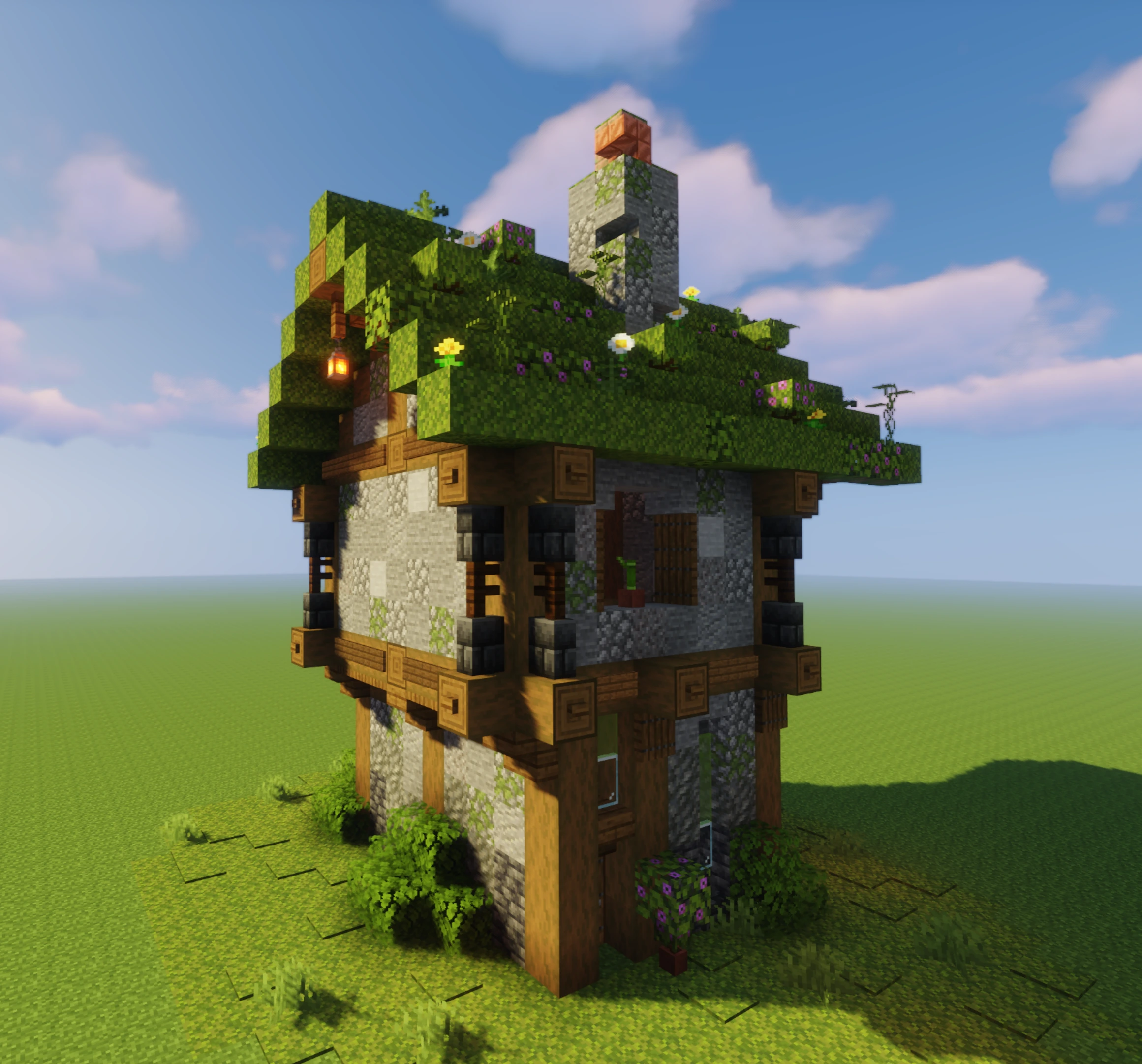 Project image